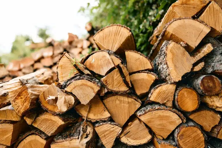Quelle essence de bois choisir pour chauffer un bain nordique ?
